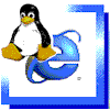 Linux als Proxy-Server für Windows