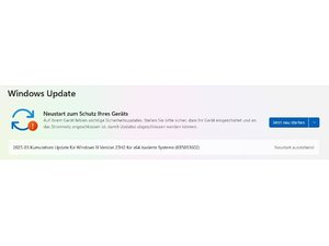 Immer Probleme nach Windows 11 Update