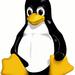 Aus Spass MX Linux installiert